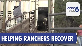 Donnelly Provides Grazing Land for Ranchers Impacted by the Tartar Fire
