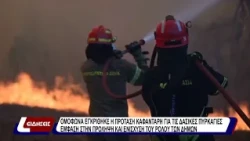 Ομόφωνα εγκρίθηκε η πρόταση Καφαντάρη για τις δασικές πυρκαγιές  - Έμφαση στην πρόληψη και ενίσχυση
