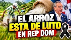 Dominican rice in intensive care: government hides decree