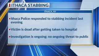 Ithaca Police investigate fatal stabbing, suspect at large
