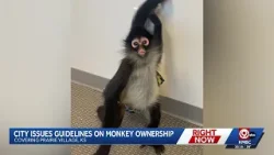 City of Prairie Village allows family to keep pet monkey with new guidelines City of Prairie Village allows family to keep pet monkey with new guidelines