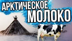 1 день на производстве - молочка на Крайнем Севере | Специальный репортаж