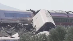 Pope Leo XIV prays for the victims of the train accident in Spain