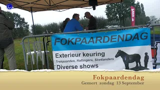2026 09 13 Breeding Horse Day Boerenbondsmuseum Gemert Andre van Bussel