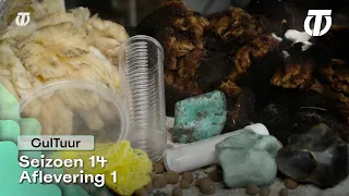 CulTuur Seizoen 14, Aflevering 1