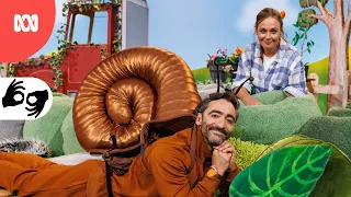 Story: A Trail For A Snail | Play School | ABC Kids