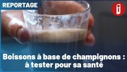 Mushroom-based drinks to try for your health