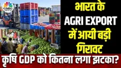 Agri Export Downfall Reason | काफी कम हुआ भारत का एग्री एक्सपोर्ट,  जानें आखिर कितना गिरा?