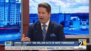 Animal Charity 'One Million Acts of Hope' fundraiser