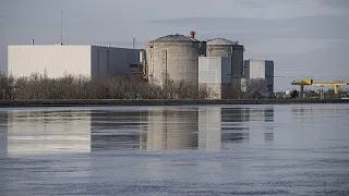 Jellyfish force EDF to shut down three nuclear reactors