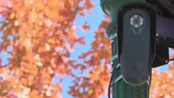 Vineyard council unanimously resolve to end relationship with Flock cameras