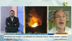 D6 - Dr. Carlos De Luca - Incendios en Chubut: riesgos de convivir con el humo y cenizas