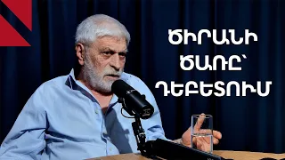Աղետը՝ կինոյի սնուցման աղբյուր. «Ծիրանի ծառը»՝ Դեբետում