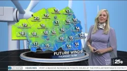 В четверг будет очень тепло и ветрено.