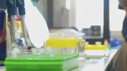 COSENZA: PREOCCUPA FOCOLAIO EPATITE A, RICOVERI E CONTROLLI