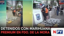 Arrests made with premium marijuana in Fdo. de la Mora