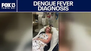 Florida woman diagnoses with dengue fever experiences grueling symptoms