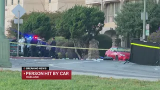 Police investigate vehicle v. pedestrian hit-and-run
