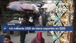 Egypte : 4,6 milliards USD de biens exportés en 2025