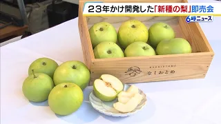 Waiting in a Long Line for "Nashi Otome": Hyogo Prefecture's First Original Brand Pear, Developed...