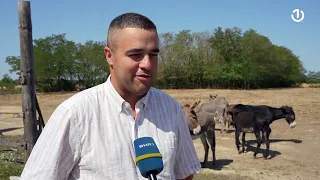 Seoski turizam u usponu: Kako mladi oživljavaju semberska sela?