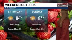 Тенденция к потеплению сохраняется, что приводит к увеличению риска лесных пожаров и опасным усло...