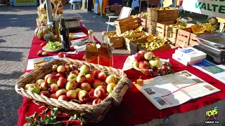 CANZO CELEBRATES: BUONAFESTA AND BUONAFERA FOR A WEEKEND OF TRADITION AND SUSTAINABILITY