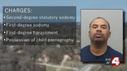 Riverview mayor facing sex crime charges