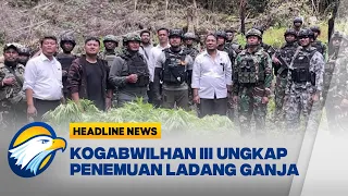 [HEADLINE NEWS 08/09] Kogabwilhan III Ungkap Penemuan 1.347 Batang Ganja di Papua
