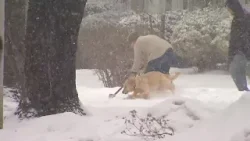 Baltimore County officials ready for weekend's snowstorm