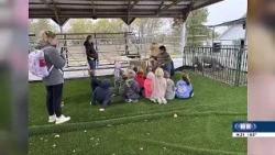 Ag literacy festivals give students around the state the chance to learn more about agriculture
