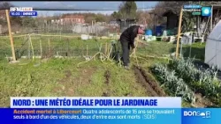 Météo printanière : on ressort les bêches et les râteaux Météo printanière : on ressort les bêches et les râteaux