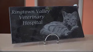 A case of rabies among stray cats in Schuylkill County has prompted caution among animal rescuers