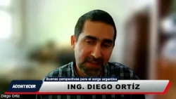 Buenas perspectivas para el sorgo argentino