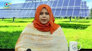 বর্তমান সরকার সৌরবিদ্যুৎচালিত সেচব্যবস্থা সম্প্রসারণে বিভিন্ন উদ্যোগ গ্রহণ করেছে