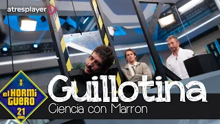 Marron se juega el cuello: evita el corte de una guillotina - El Hormiguero