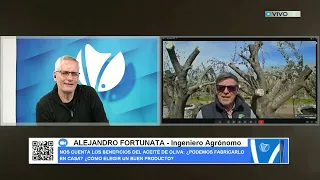 CAN WE MAKE OLIVE OIL AT HOME?