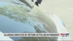 Аллергические реакции, вызванные возвращением пыльцы в регион Пидмонт-Триад, усугубляются.