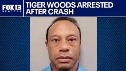 Тайгер Вудс арестован за вождение в нетрезвом виде после аварии с опрокидыванием | FOX 13 Seattle Тайгер Вудс арестован за вождение в нетрезвом виде после аварии с опрокидыванием | FOX 13 Seattle