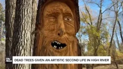 Dead trees given an artistic second life in High River