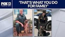 K9 Ace replacement: Former handler donates new German shepherd