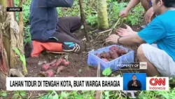 Lahan Tidur di Tengah Kota, Buat Warga Bahagia