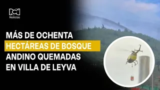 Fire in Villa de Leyva: Over 80 hectares of Andean forest burned