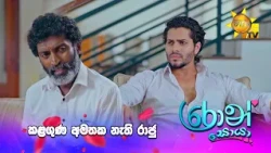 කළගුණ අමතක නැති රාජු