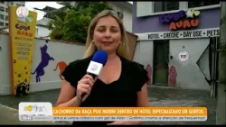 Cachorro da raça pug morre dentro de hotel especializado em Santos - 15/1/26