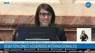 SENADORA BELÉN MONTE DE OCA - SESIÓN 27-08-26