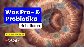 Probiotics & Prebiotics don't help? THIS is what your gut is really missing! | Natural Medicine |...