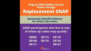 TDHS shares update about Replacement SNAP Program