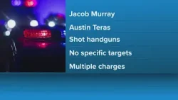 Gunfire from car in Gray leads to 2 men arrested