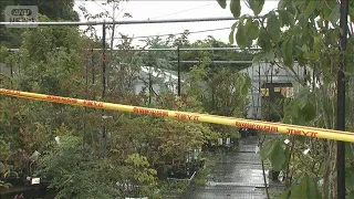 Bear attacks employee at garden center; injury reported on Sendai city roadside near residential ...